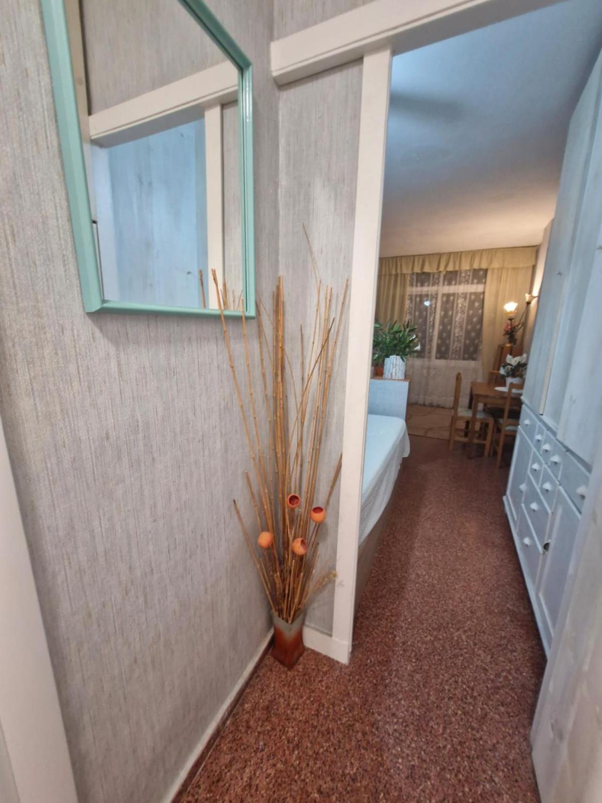 Apartment Axioma Studia