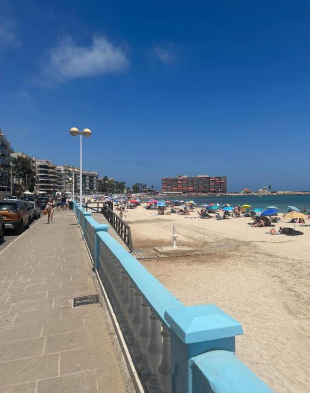 Axioma Studia * Torrevieja
